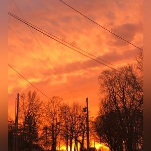 Meet your Posher, Sydney